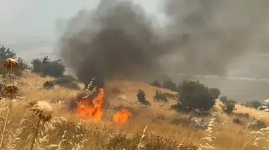 Sırbistan'da orman yangınları: 1 ölü, 14 yaralı!