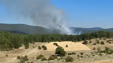 Eskişehir'de orman yangını!
