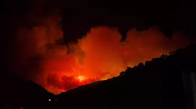 Alevlerin arasında kalan yatalak adam kurtarılamadı