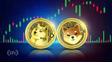 Dogecoin ve Shiba Inu yükseliyor: Meme coin rallisi ne kadar sürecek?