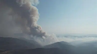 Bursa'da orman yangını yeniden başladı