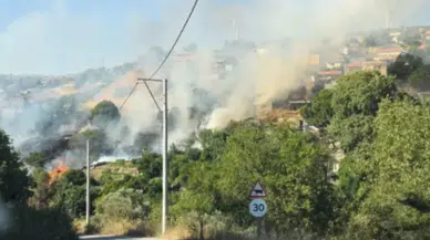 İzmir Karaburun'da korkutan yangın