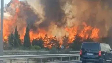 İzmir Buca'da orman yangını!