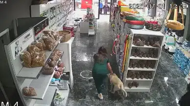 Bursa'daki depremde tedavi gören köpeği içeride bırakmadı!