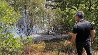 Adapazarı'nda orman yangını!