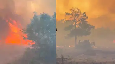 Manisa'da orman yangını: Bağ evleri tahliye edildi