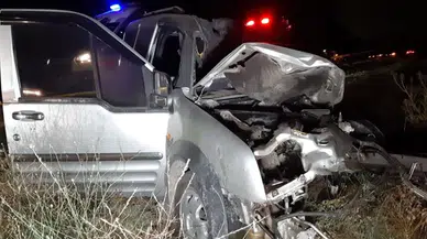 Bolu'da yola atlayan geyik faciaya neden oldu