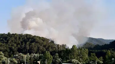 Bolu’da orman yangını! Alevlere müdahale sürüyor