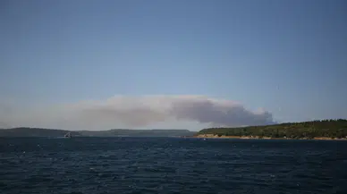 Çanakkale'de orman yangını: Ekiplerin müdahalesi sürüyor