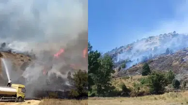 Sivas'ta orman yangını! Ekipler müdahale ediyor