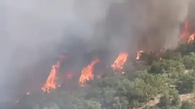 Malatya'da orman yangını