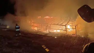 Muş'ta ahır yangını: Hayvanlar alevlerin arasında kaldı