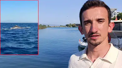 Manavgat'ta sürpriz karşılaşma: 15 metrelik balina görüntülendi!