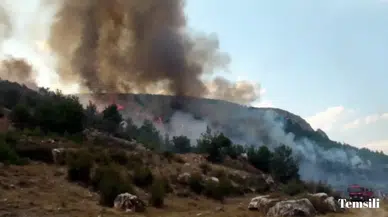 Kartal’da otluk alanda ateş yakan 3 kişi yakalandı