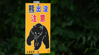 'Ayı saldırdı' zannettiler: Öz oğlu çıktı