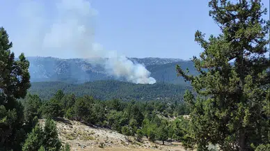 Mersin Bozyazı’da orman yangını