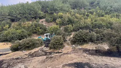 Edirne Keşan'da makilikte başlayan yangın tarlaya sıçradı