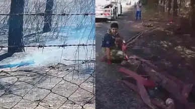 Silivri’de otluk yangını! Fabrika tedbiren boşaltıldı