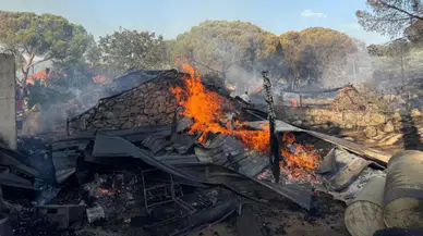 İzmir'de alevler evlere sıçradı: Vatandaşlar tahliye edildi
