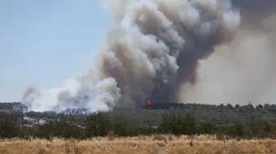 Çanakkale Dardanos'ta orman yangını!