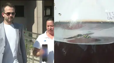 Ankara'da mide bulandıran olay: Marketten aldığı koladan ölü arı çıktı!