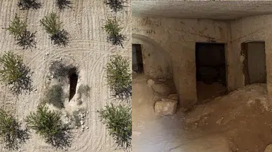 Fıstık tarlasında binlerce yıllık kaya mezarı!