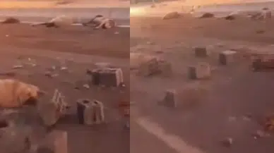 Van’da sürüye çarpan kamyonet 37 koyunu telef etti!