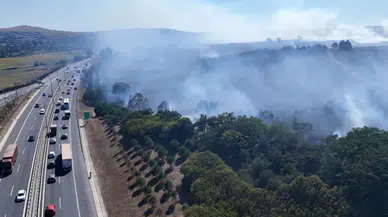 İstanbul’da iki ayrı yangın: Çiftlik ve otoyol yanı alevlere teslim!