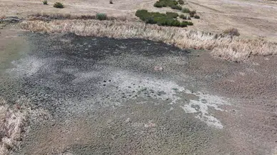 Edirne’de göletler kurudu