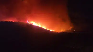 Hatay'da orman yangınına müdahale devam ediyor! Vali Masatlı'dan açıklama geldi