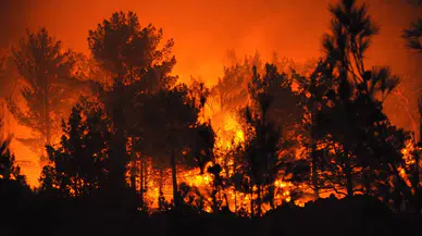 Mersin'deki orman yangınına müdahale sürüyor!