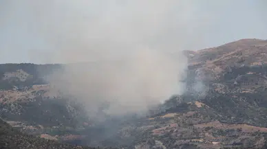 Çorum'da orman yangını!