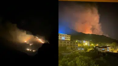 Marmara Adası'nda yangın!