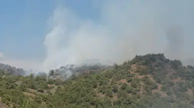 Tokat'ta orman yangını: Ekipler müdahale ediyor