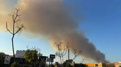 İzmir'de ormanlık alanda korkutan yangın