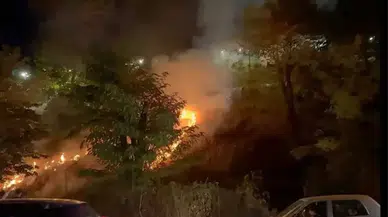 Sakarya'da meşale yakan gençler yangın çıkardı!