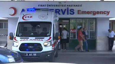 Elazığ'da eşeğin 800 metre sürüklediği 12 yaşındaki Meryem öldü