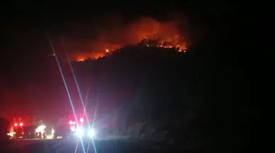 Malatya'da orman yangını