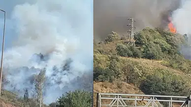 Osmaniye Bahçe’de orman yangını!