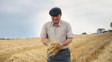 Tarım Bakanlığı duyurdu: Çiftçilere destek ödemesi başladı