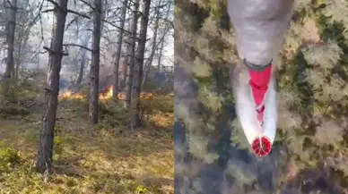 Sinop'ta orman yangını: Köklen köyü tahliye edildi