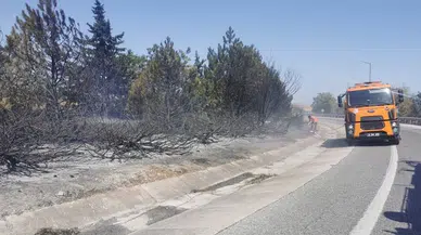 Kırklareli Lüleburgaz’da orman yangını! 6 kişi yaralandı