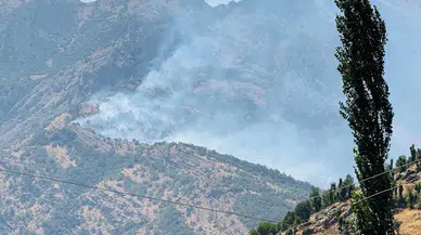 Şırnak'ta orman yangını! Müdahale sürüyor