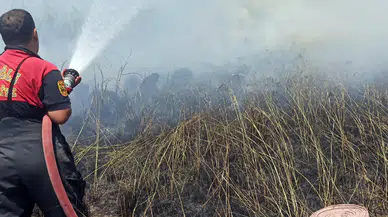 Köyceğiz'de Sazlık yangını kontrol altına alındı, soğutma çalışmaları sürüyor
