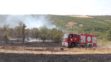 Tekirdağ'da anız yangını ormana sıçradı: Söndürme çalışmaları devam ediyor