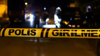 Giresun'da meyve toplarken ağaçtan düşen kişi hayatını kaybetti