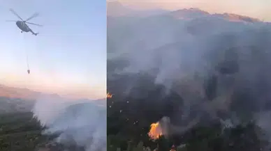 Bingöl - Diyarbakır sınırında yangın çıktı!