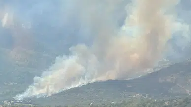 Muğla'da ormanlık alanda yangın çıktı: Ekipler müdahale ediyor