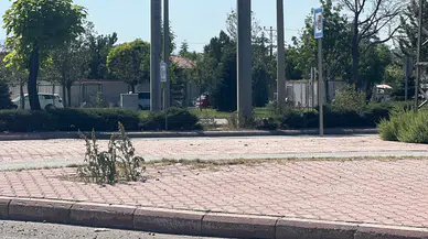 Konya'da 16 yaşındaki çocuk, otomobil çarpması sonucu hayatını kaybetti!