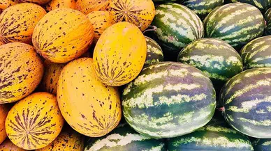Karpuz mu, kavun mu? Seçtiğin meyve kişiliğini yansıtıyor!